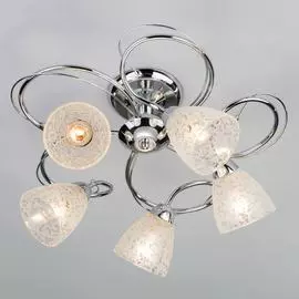 Потолочный светильник Eurosvet