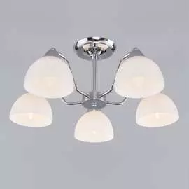 Потолочный светильник Eurosvet