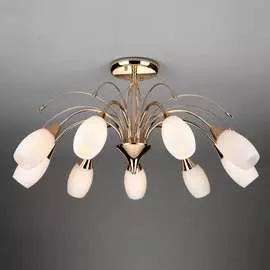 Потолочный светильник Eurosvet