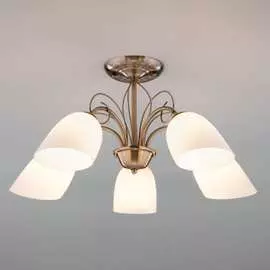 Потолочный светильник Eurosvet 30107 5 00000078347