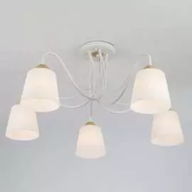 Потолочный светильник Eurosvet 70062 5 00000081856