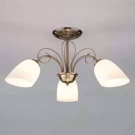 Потолочный светильник Eurosvet 30107 3 00000078346