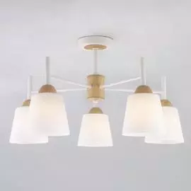 Потолочный светильник Eurosvet 70085 5 00000083420