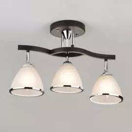 Потолочный светильник Eurosvet