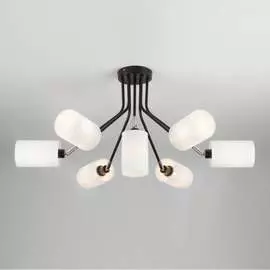 Потолочный светильник Eurosvet