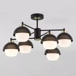 Потолочный светильник Eurosvet 70106 6 a044934