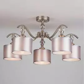 Потолочный светильник Eurosvet