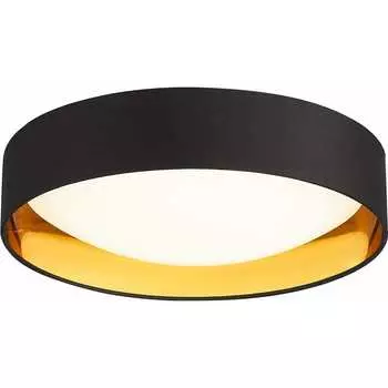 Потолочный светильник Evoluce SLE201102-01