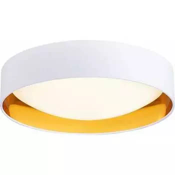 Потолочный светильник Evoluce