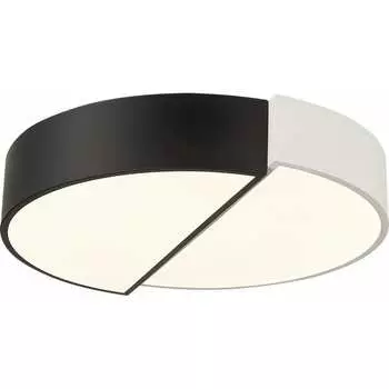 Потолочный светильник Evoluce SLE200642-01