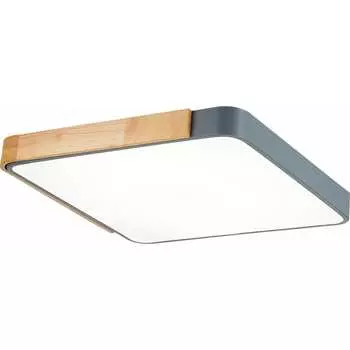 Потолочный светильник Evoluce