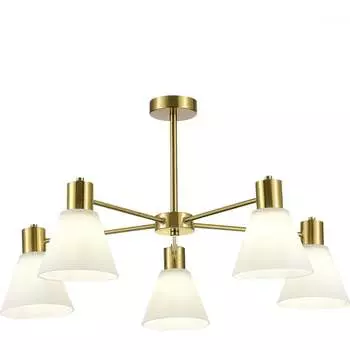 Потолочный светильник Evoluce SLE1561-302-05