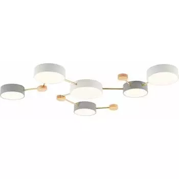 Потолочный светильник Evoluce SLE600102-06