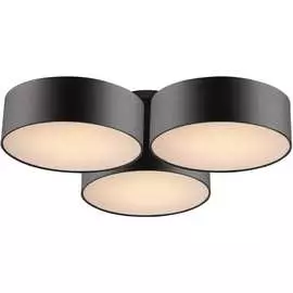 Потолочный светильник FAVOURITE