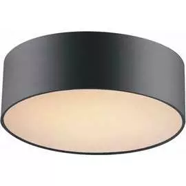 Потолочный светильник FAVOURITE