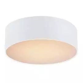 Потолочный светильник FAVOURITE