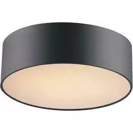 Потолочный светильник FAVOURITE