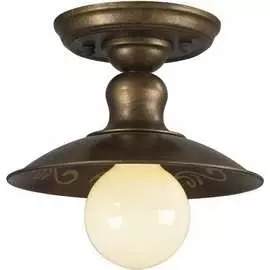 Потолочный светильник FAVOURITE