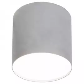 Потолочный светильник FERON 41281