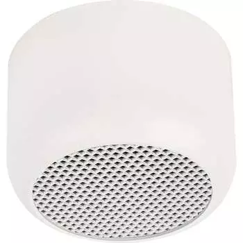 Потолочный светильник FERON 48399