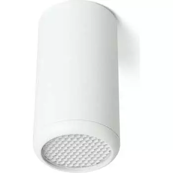 Потолочный светильник FERON 48393