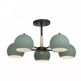 Потолочный светильник Freya