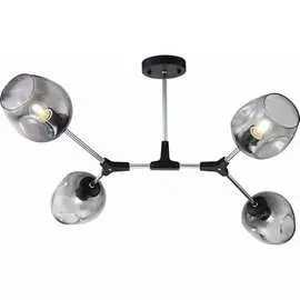 Потолочный светильник Freya Desi FR5006CL-04B