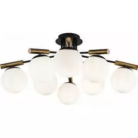 Потолочный светильник Freya Paolina FR5011CL-08B