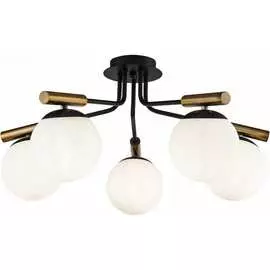 Потолочный светильник Freya Paolina FR5011CL-05B