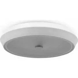 Потолочный светильник Freya FR10012CL-L24W