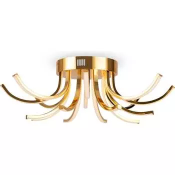 Потолочный светильник Freya minhang FR6046CL-L50G