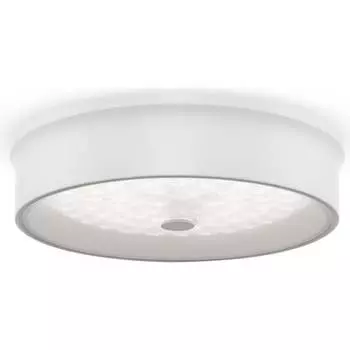 Потолочный светильник Freya cells FR10011CL-L24W