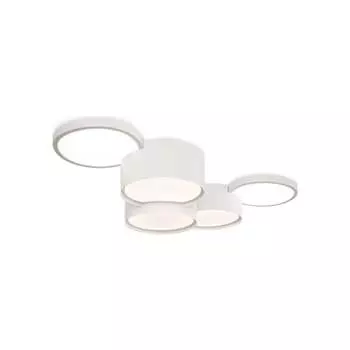 Потолочный светильник Freya Molecule FR6080CL-L100W