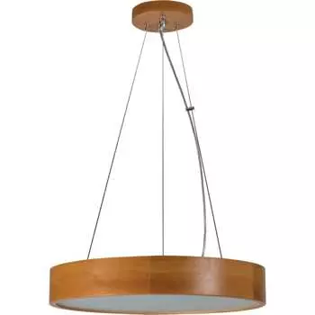 Потолочный светильник KANLUX 36501