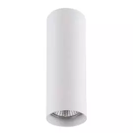 Потолочный светильник Lightstar 214496