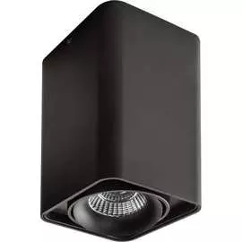 Потолочный светильник Lightstar MONOCCO 212537