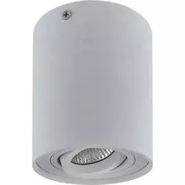 Потолочный светильник Lightstar