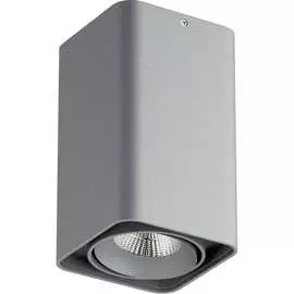 Потолочный светильник Lightstar