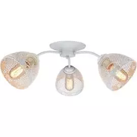 Потолочный светильник Lumin'arte