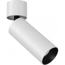 Потолочный светильник MAYTONI