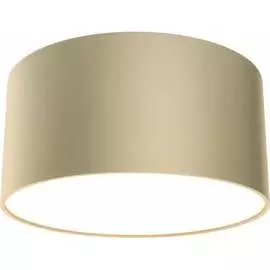 Потолочный светильник MAYTONI