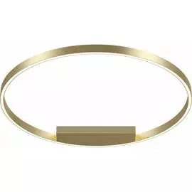 Потолочный светильник MAYTONI