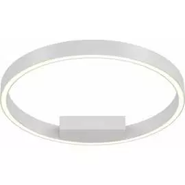 Потолочный светильник MAYTONI