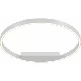 Потолочный светильник MAYTONI