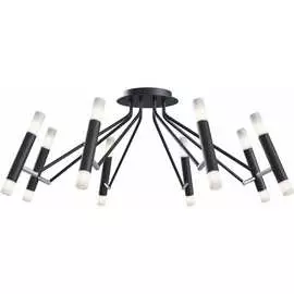 Потолочный светильник MAYTONI Vigo MOD620CL-16B