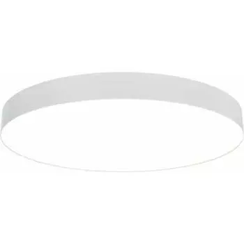 Потолочный светильник MAYTONI