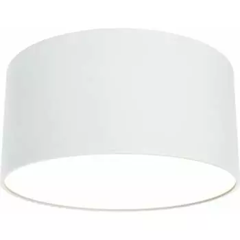 Потолочный светильник MAYTONI