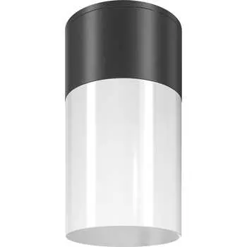 Потолочный светильник MAYTONI Willis O418CL-01B