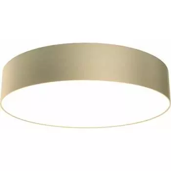 Потолочный светильник MAYTONI