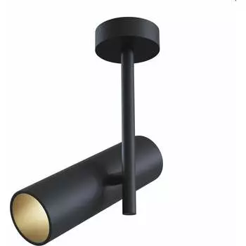 Потолочный светильник MAYTONI